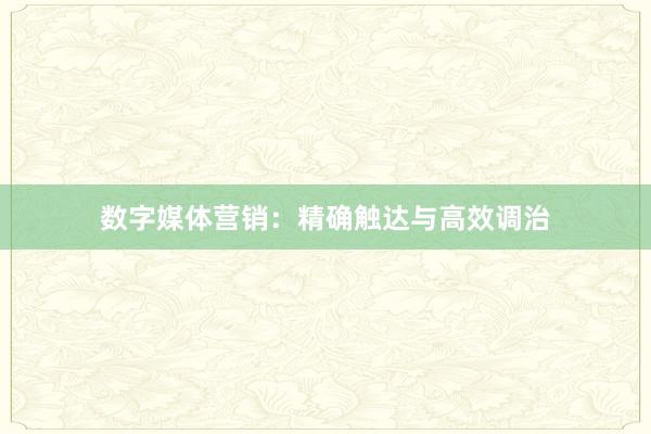 数字媒体营销：精确触达与高效调治